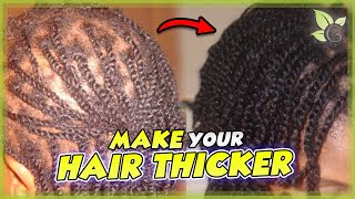 HAIR THICKNESS  How to TEST and INCREASE it [upl. by Bruns]