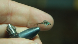 FLY TYINGPHEASANT TAIL EMERGERTHE DEADLIEST FLIES [upl. by Krysta]