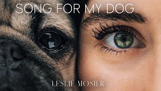 Song For My Dog  Leslie Mosier [upl. by Audie]