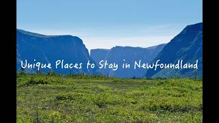 Unique Places to Stay in Newfoundland [upl. by Cormac]