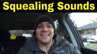 Why Do Cars Make Squealing Sounds5 Common Reasons [upl. by Chris]