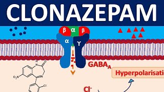 Clonazepam  Mechanism precautions side effects amp uses [upl. by Adlesirc285]