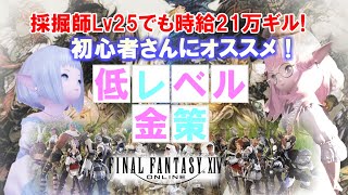 【FF14 金策】初心者さん向け、低レベルギャザラー金策、採掘師編！ [upl. by Saravat]