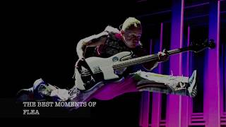 FLEA RHCP The Best Moments [upl. by Evered]