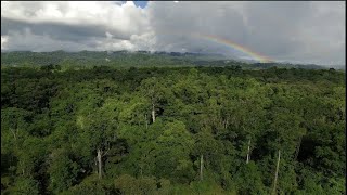 CONABIO 30 años conservando la Biodiversidad Mexicana [upl. by Kienan]