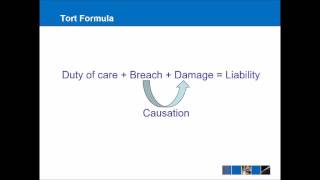 Introduction to Tort Law [upl. by Hajile]