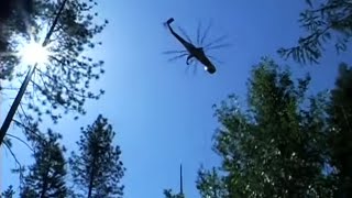 Erickson Timber Harvesting  Standing Stem Demonstration [upl. by Lirrehs525]