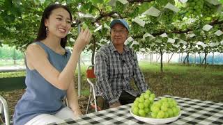 【日本一のブドウの産地】岩間恵さんが山梨県峡東地域のブドウの美味しさをPR！ [upl. by Ulric]