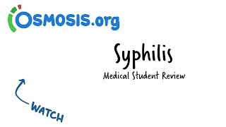 Syphilis  Clinical Presentation [upl. by Mil942]