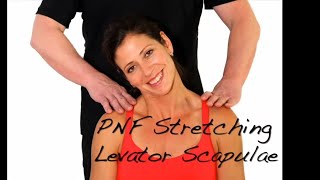 PNF Stretching  Levator Scapulae Muscle  Ask Dr Abelson [upl. by Ydospahr]