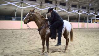 Mounting and Dismounting Your Horse Safely and Correctly [upl. by Butte]