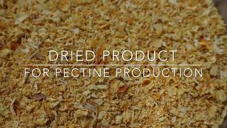 Food Drying Citrus Peel Pulp for Pectine  TEMA Process Fluid Bed Dryers [upl. by Pendergast]