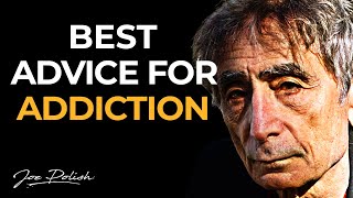 Gabor Maté Pain as the Root of Addiction [upl. by Tonie]