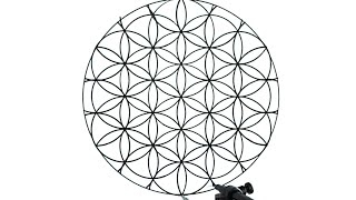 How to Draw the Flower of Life [upl. by Areid]