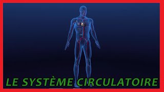 Le système circulatoire [upl. by Vanna]