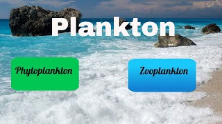 Difference between Zooplankton and Phytoplankton [upl. by Jueta]