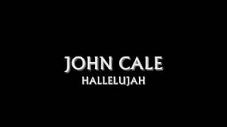 John Cale  HALLELUJAH  Leonard Cohen Cover [upl. by Mahsih]