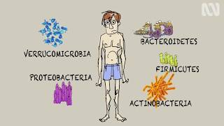 Gut microbiota gut bacteria  Introduction [upl. by Sloan]