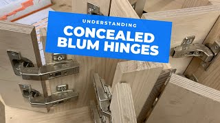 All the main Blum hinge types explained [upl. by Edmanda]