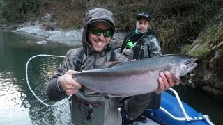 Kalama River Steelhead amp Coho [upl. by Leahci]