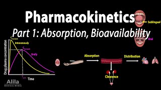 Pharmacokinetics part 1 Overview Absorption and Bioavailability Animation [upl. by Vierno318]