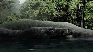 Titanoboa Monster Prehistoric Snake Documentary [upl. by Kerat546]