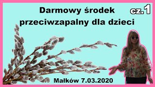 DARMOWY ŚRODEK PRZECIWZAPALNY DLA DZIECI Wykład w Małkowie 07032020 [upl. by Melquist]