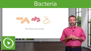 Bacteria Structure amp Types – Microbiology  Lecturio [upl. by Sherry]