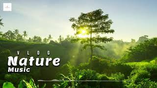 Nature Music Vlog Vlog No Copyright Music [upl. by Aitercul]