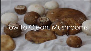 How to Clean Mushrooms [upl. by Cristal]