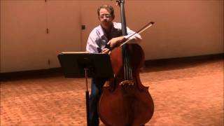 Double Bass Excerpts  Beethoven Symphony No 9 Finale [upl. by Elad]