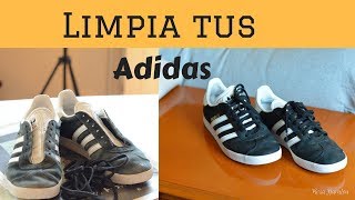 limpiar tenis o zapatilas deportivas [upl. by Eeramit]