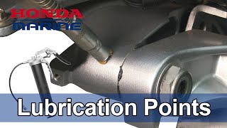 Honda Marine DIY Lubrication Points [upl. by Sybilla]