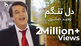 پیپسی ساز و سرود  وحید صابری  دل تنگم  Wahid Saberi  Dil Tangam [upl. by Carmelo]