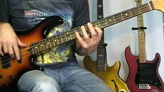 Loggins amp Messina  Your Mama Dont Dance  Bass Cover [upl. by Burgess83]