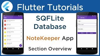 Flutter SQFLite Database Tutorial Implement SQLite database with example Section Overview 41 [upl. by Nimocks]