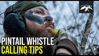 Pintail Whistle  Duck Calling Tips [upl. by Ainel]