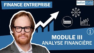 COURS de FINANCE DENTREPRISE  Module 3  Partie 1  Analyse financière [upl. by Missy]