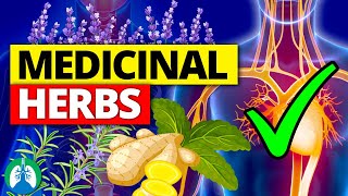 🌱Top 10 Most POWERFUL Medicinal Herbs Backed by Science [upl. by Sirtimid]