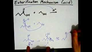 How to Make Esters Mechanism [upl. by Nemzaj]