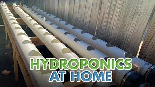 Hydroponics at Home [upl. by Matthew371]