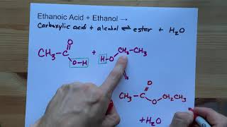 Ethanoic Acid  Ethanol   Ester Reaction [upl. by Glory]