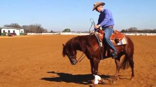 Fundamentals to Reining by Fred Thomsson [upl. by Moreno]