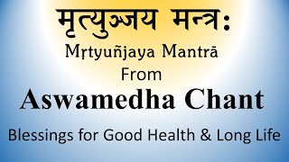 Vedic Chant  Blessings for Healthy long life  From Ashwamedham 2  Produced by Sri K Suresh [upl. by Zeni571]