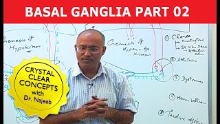 Basal Ganglia  Neuroanatomy  Part 23 [upl. by Reeves]