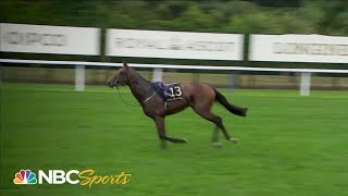 Royal Ascot 2019 Horse throws jockey runs riderless  NBC Sports [upl. by Oile905]