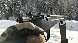 The 22lr Savage Rascal [upl. by Nyltiak906]