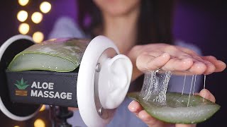 ASMR Aloe Vera Ear Massage❤️ For Sleep amp Relaxation NO TALKING [upl. by Lenora868]