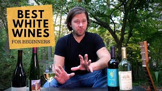 The Best White Wines For Beginners Series 2 Pinot Grigio [upl. by Aeirdna]