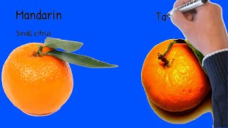 ChefSteps Tips amp Tricks Perfect Citrus Gems [upl. by Raveaux674]